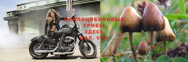 молекула духа Семикаракорск