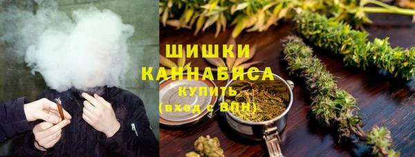 бошки Богородицк